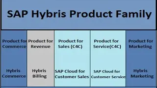 SAP Hybris screenshot