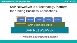 SAP NetWeaver screenshot