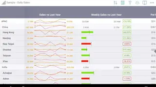 SAP Roambi screenshot