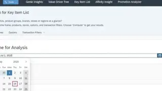 SAP Sales Insight for Retail screenshot