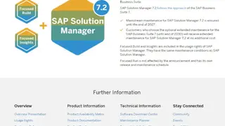 SAP Solution Manager screenshot