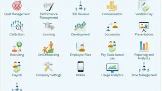SAP SuccessFactors screenshot