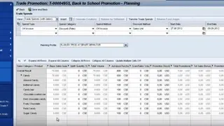 SAP TPM screenshot