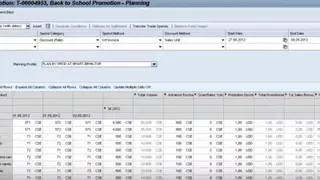 SAP TPM screenshot