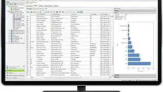 SAS Data Management screenshot