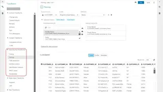 SAS Data Management screenshot