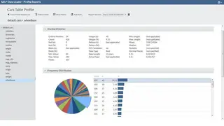 SAS Data Management screenshot