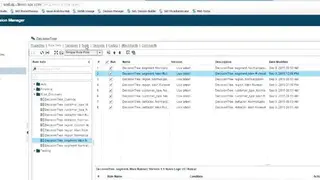 SAS Data Management screenshot