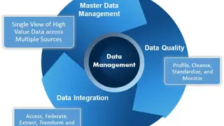 SAS Master Data Management screenshot