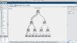SAS Master Data Management screenshot