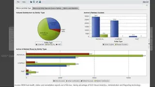 SAS Master Data Management screenshot
