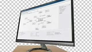 SAS Master Data Management screenshot