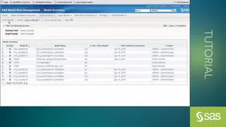 SAS Risk Management screenshot