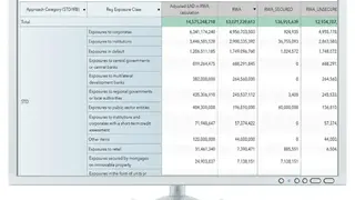 SAS Risk Management screenshot