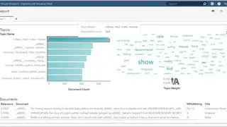 SAS Text Miner screenshot