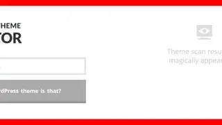 Satori WordPress Theme Detector screenshot