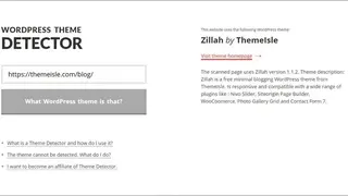 Satori WordPress Theme Detector screenshot