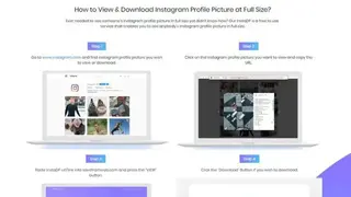 Save From Web screenshot