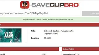 SaveClipBro screenshot