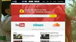 SaveDeo screenshot