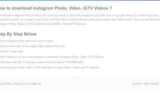 Saveig screenshot