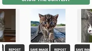 Saver Reposter for Instagram screenshot