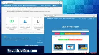 SavetTheVideo screenshot