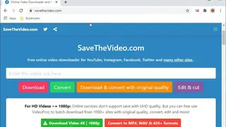 SavetTheVideo screenshot
