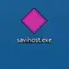 SAVIHost