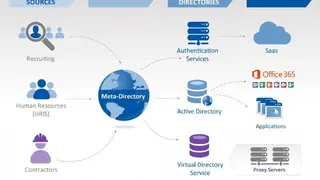 Saviynt Security Manager screenshot