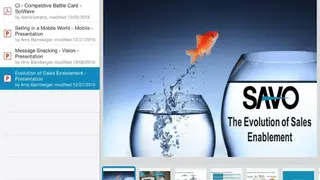 SAVO screenshot