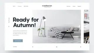 Scandinavian Design screenshot