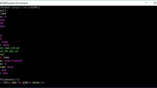 Scapy screenshot