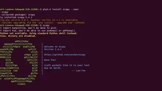 Scapy screenshot