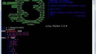Scapy screenshot