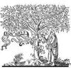 ScienceDirect