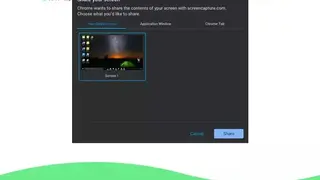 Screen Capture screenshot