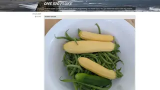Screen Filter screenshot