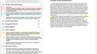 Scrivener screenshot