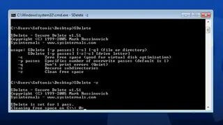 SDelete screenshot