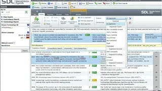 SDL Translation & Localization screenshot