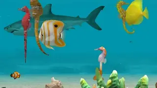 Seahorse 3D screenshot
