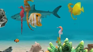 Seahorse 3D screenshot