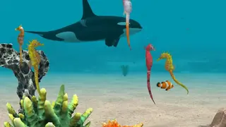 Seahorse 3D screenshot