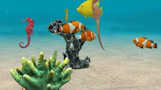 Seahorse 3D screenshot