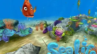 Sealife Safari screenshot