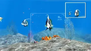 Sealife Safari screenshot