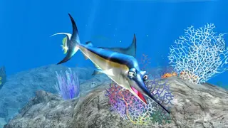 Sealife Safari screenshot