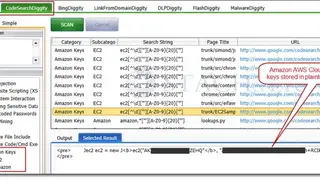 SearchDiggity screenshot