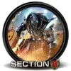 Section 8